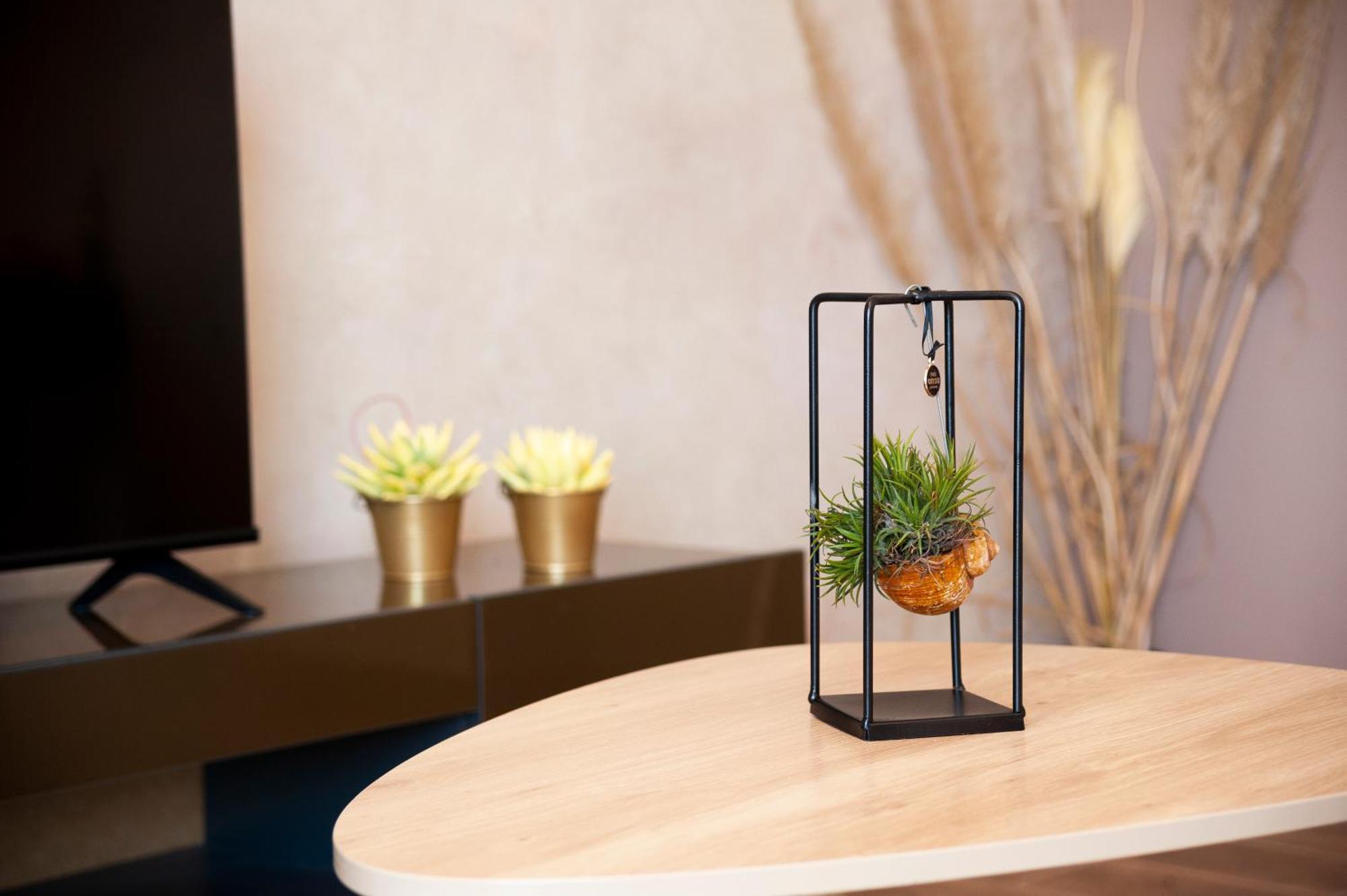 Apartman Lorena Rovinj Dış mekan fotoğraf
